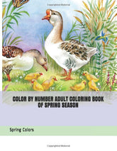 Color By Number Adult Coloring Book of Spring Season (Adult Color By Numbers)